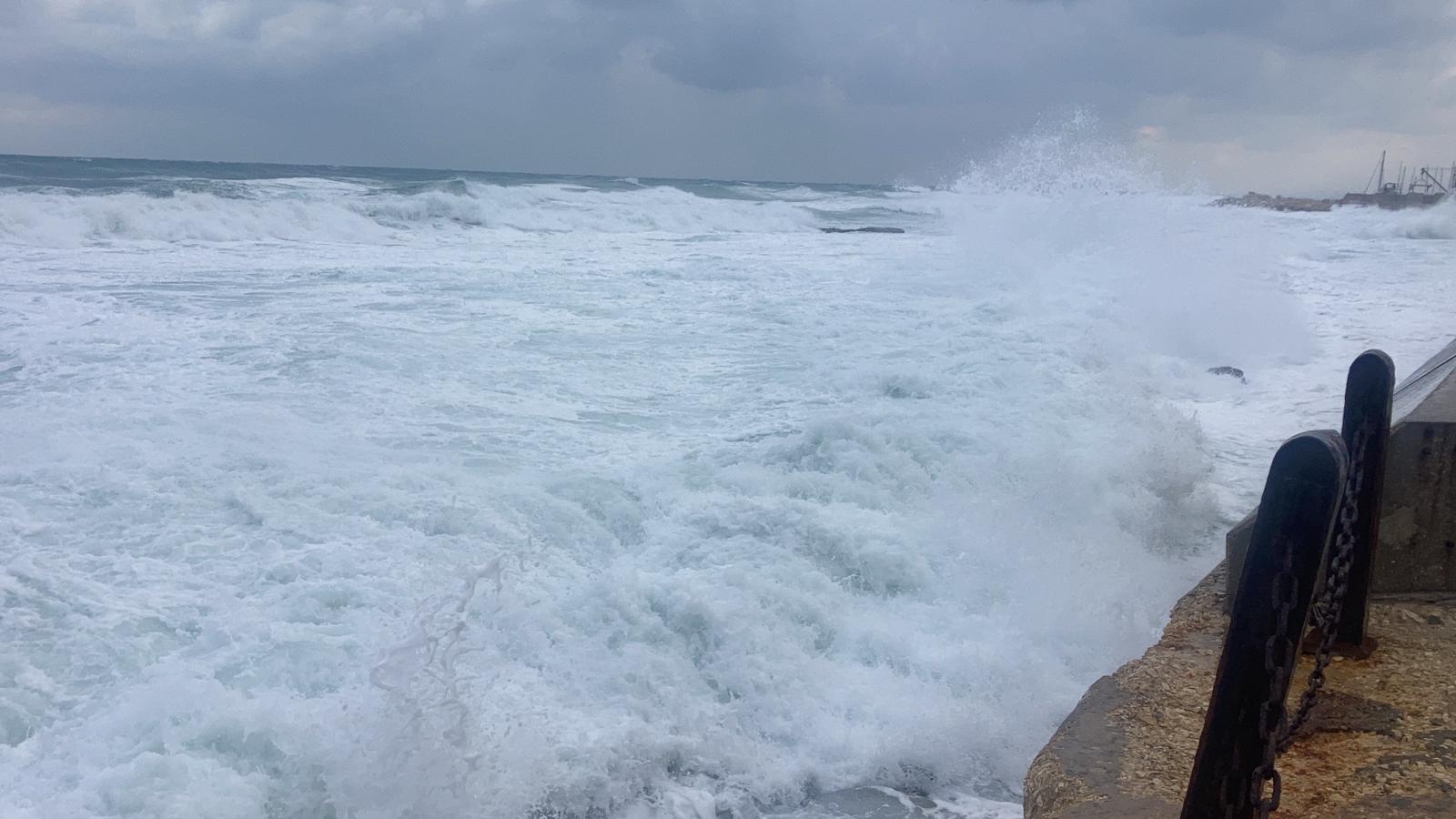 WhatsApp Image 2021-12-20 at 1.58.38 PM.jpeg